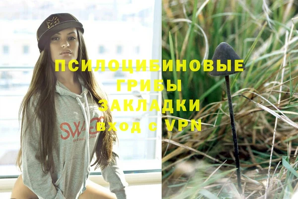 амф Алзамай