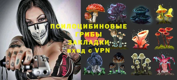 стафф Алексеевка
