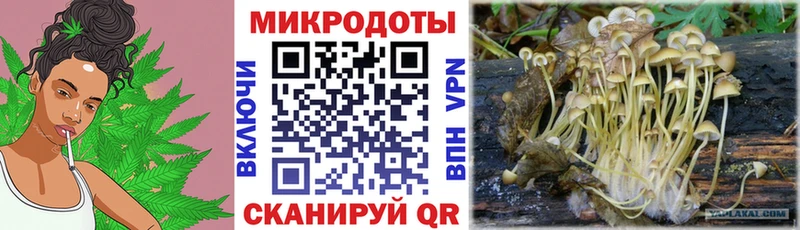Псилоцибиновые грибы GOLDEN TEACHER  Апрелевка 